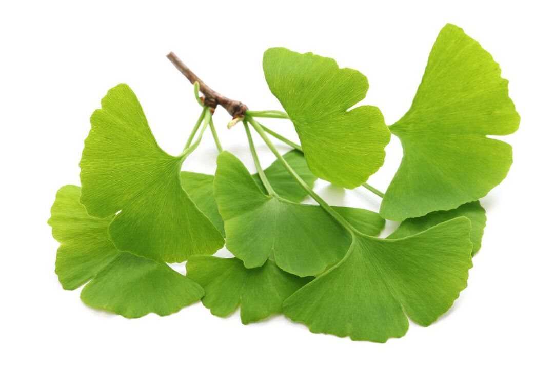 ginko biloba lašais Alcozar